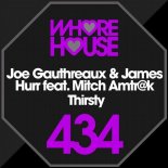 Joe Gauthreaux, James Hurr feat. Mitch Amtr@k - Thirsty (Original Mix)