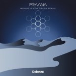 PRAANA - Mojave (Piero Pirupa Extended Remix)