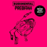 Rudimental & Preditah - Mean That Much (Feat. MORGAN)