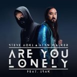 Steve Aoki & Alan Walker - Are You Lonely feat. ISAK (Kandy Bootleg)