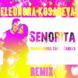 SHAWN MENDES & CAMILA CABELLO - Senorita (Eleonora Kosareva Remix)