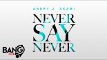 ANDRY J & AKAMI - Never Say Never
