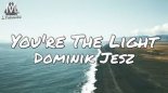 Dominik Jesz - You're The Light