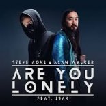 Steve Aoki & Alan Walker - Are You Lonely feat. ISAK (Cruhy Bootleg)