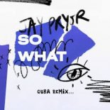 Jay Pryor - So What (Quba Remix)