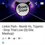 Linkin Park - Numb Vs. Tujamo - Drop That Low (Dj Gila Mashup)