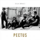 Pectus - Barcelona