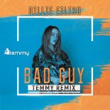 Billie Eilish - Bad Guy (Temmy Remix)