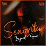 Shawn Mendes & Camila Cabello - Señorita (ICEGOOD Remix)