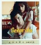 Shawn Mendes & Camila Cabello - Senorita (Prezzplay & Insane Radio Edit)
