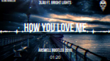 3LAU - How You Love Me ft. Bright Lights (ARSWELL BOOTLEG 2019)