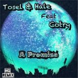 Tosel & Hale feat. Cotry - A promise (NG Remix)
