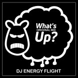 Dj Energy Flight - What\'s Up (Original Mix)