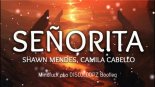 Shawn Mendes, Camila Cabello - Señorita (Mindfuck Aka DISCOLOOPZ Bootleg)