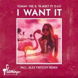 Tommy Vee, Tr-Meet feat. D-Lo - I Want It (Original Mix)