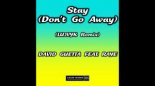 David Guetta - Stay (Don’t Go Away) (feat. Raye) [LU2VYK Remix]