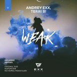 Andrey Exx, Terri B! - Weak (Nopopstar Remix)