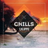 Calippo - Never Really Liked You (Zinner & Orffee Extended Remix)
