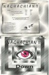 Naghachian II - Down (Survival Edit) 140 BpM