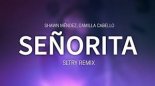 Shawn Mendes & Camila Cabello - Señorita (SLTRY Remix)