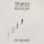 Tom Walker feat Zara Larsson - Now Youre Gone (Radio Edit)