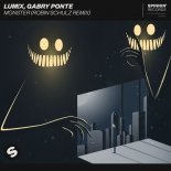 LUM!X, Gabry Ponte - Monster (Robin Schulz Remix Edit)