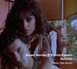 Shawn Mendes ft. Camila Cabello - Señorita (Nicky Vide Remix) [Extended Mix]