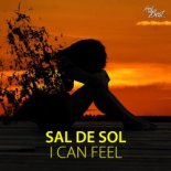 Sal De Sol - I Can Feel (Pulsedriver Extended Mix) 