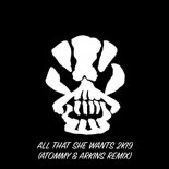 Ace Of Base - All That She Wants 2K19 (Atommy & Arkins Remix)