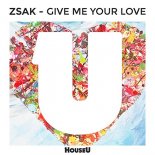 Zsak - Give Me Your Love (Original Mix)