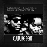 Culture Beat - Mr Vain (Bugs D-light feat Efremov Remix)