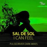 Sal De Sol - I Can Feel (Pulsedriver Dark Extended Mix)