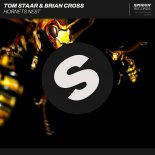 Tom Staar & Brian Cross – Hornets Nest (Extended Mix)