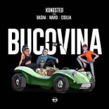 Kongsted feat. Basim & Navid & Cisilia & Shantel - Bucovina