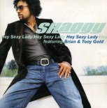 Shaggy Feat. Brian & Tony Gold - Hey Sexy Lady (DJ Rage R-Man Extended Mix)