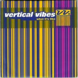 Vertical Vibe - What It's Like (Deep Inside Mix)