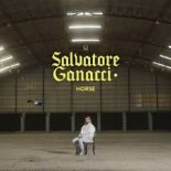 Salvatore Ganacci - Horse