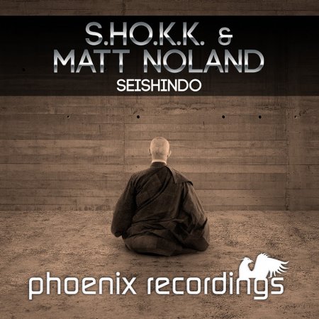 S.H.O.K.K. & Matt Noland - Seishindo (Venetica Remix)