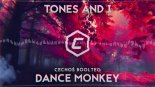 TONES AND I - Dance Monkey (Cechoś Extended Bootleg)
