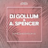 Dj Gollum & A. Spencer - In The Shadows 2k19 (Chris Diver Remix)