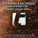 Ferrin & Morris & Aneym - Under Your Spell (Original Mix)