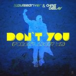 Pulsedriver & Chris Deelay - Don't You (Forget About Me) (Extended Mix)