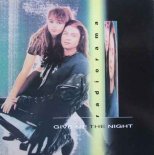 Radiorama - Give Me The Night (Fabio Serra Remix)