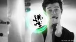 Shawn Mendes - If I Can't Have You (Que & Rkay Bootleg)
