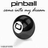 Pinball - Come Into My Dream (Single Mix)