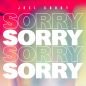 Joel Corry - Sorry (Radio Edit)