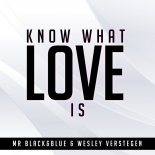 Mr Black feat. Blue & Wesley V – Know What Love Is (Radio Edit)