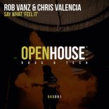 Rob Vanz & Chris Valencia - Say What (feel It) (Original Mix)