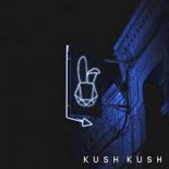 Kush Kush - I'm Blue (C. Baumann Remix)