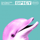 Diplo & Herve feat. Charli XCX - Spicy (Majestic Remix)